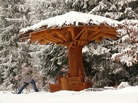 Wetterpilz Fürstenweg