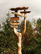 Gallerybild