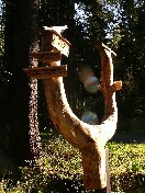 Gallerybild