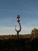 Gallerybild