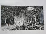 GalleryBild