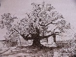 GalleryBild