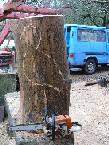 Gallerybild