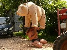 Bär